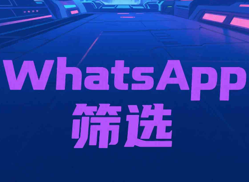 WhatsApp在线查询怎么批量查？大数据筛选技巧