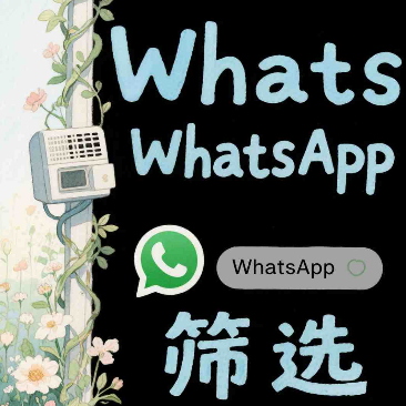 WhatsApp筛选用户状态，助你筛出活跃用户