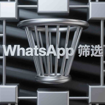 WhatsApp商业号能查啥？类型筛选技巧全解