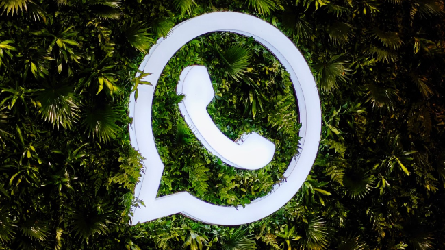 WhatsApp筛号软件使用注意事项是什么？
