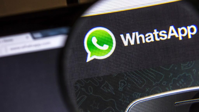 WhatsApp筛号软件支持批量导入号码吗？