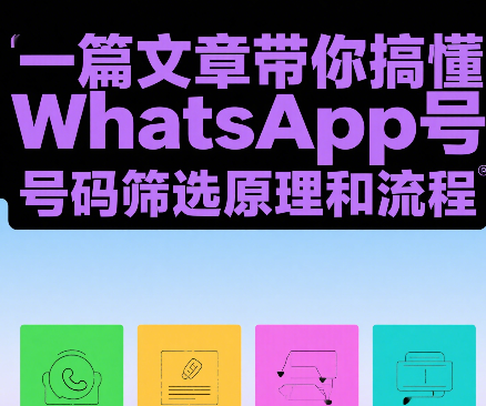 一篇文章带你搞懂WhatsApp号码筛选原理和流程