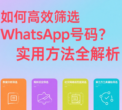 如何高效筛选WhatsApp号码？实用方法全解析