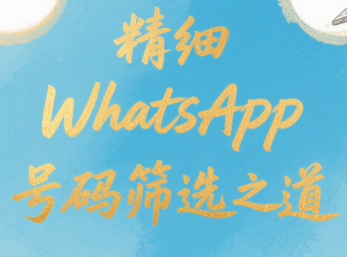 WhatsApp营销提升转化率，号码筛选是关键！