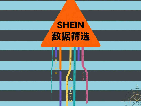 SHEIN广告投放实操技巧：打造高效转化广告策略 🎯💥